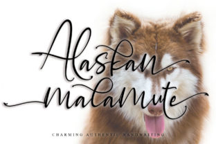 Alaskan Malamute Font for Creative Projects