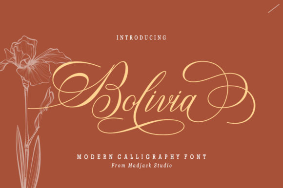 Bolivia Font for Web Design
