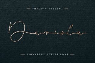 Damiola: A Premium Script Handwritten Font