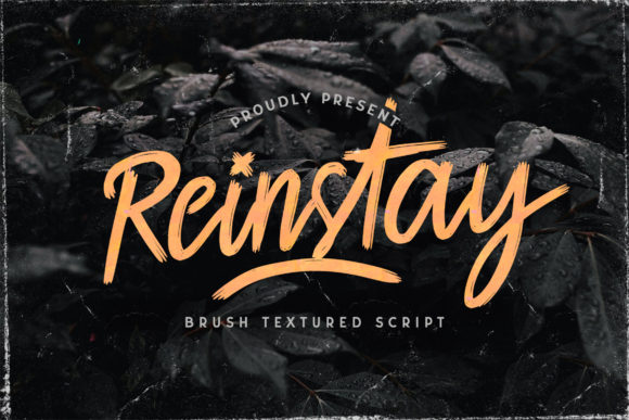 Reinstay Font for Web Design