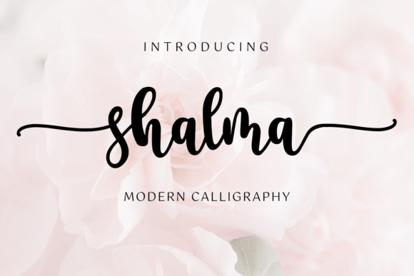 Shalma: A Bold Font for Business