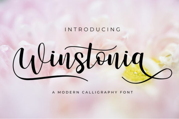 Winstonia: A Handwritten Font for Creative Campaigns